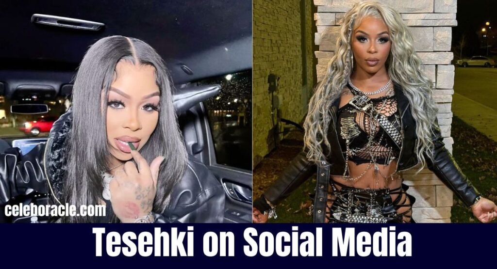 Tesehki on Social Media